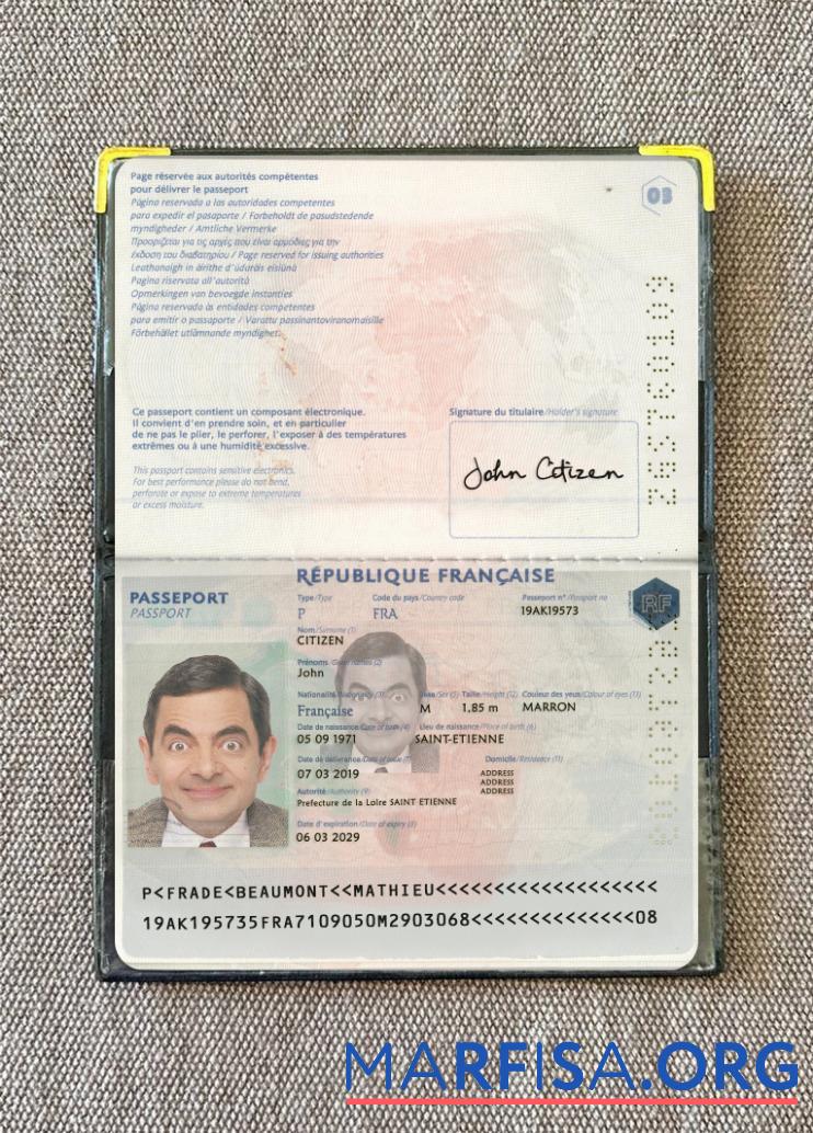 Blank France passport 2019 present photolook download for verification